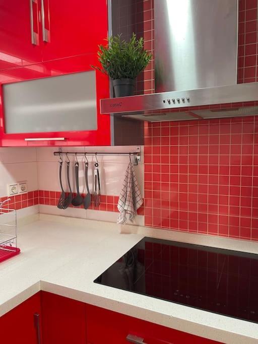 Apartamento El Pocito 코르도바 외부 사진